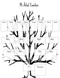 a family tree is shown with the names and branches labeled in black on a white background