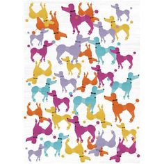 colorful poodles on white paper with polka dots