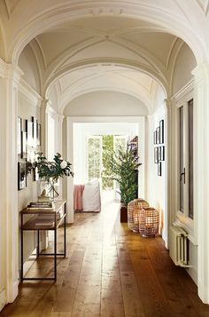 a hallway with wooden floors and white walls, along with potted plants on the far wall