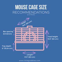 the mouse cage size and its measurements