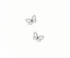 two butterflies flying side by side in the sky