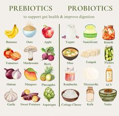 Food With Probiotics, Grocery List For Gut Health, Pre And Probiotics Benefits, Prebiotic And Probiotic Foods List, Natural Probiotics For Women, Probiotic Foods List, Probiotics Food, Probiotic Food, Probiotics For Women