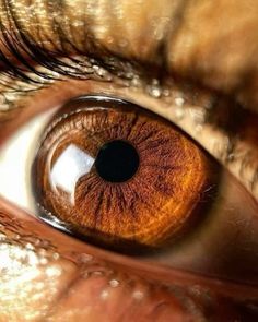 an extreme close up shot of the eye of a person's brown colored eye