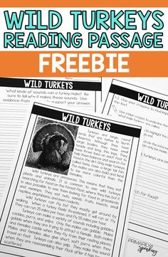 wild turkeys reading passage with the text freebie