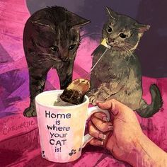 two cats are eating from a coffee cup