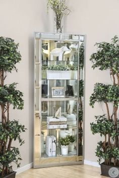 there is a tall mirrored cabinet with plants in it