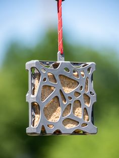 a bird feeder hanging from a red string