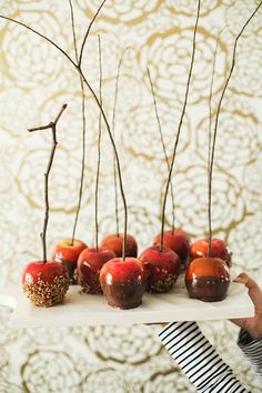 there are apples that have been placed on a tray with sticks sticking out of them