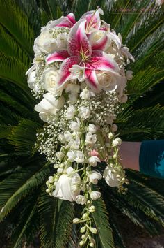 a bouquet of white and pink flowers hanging from a palm tree