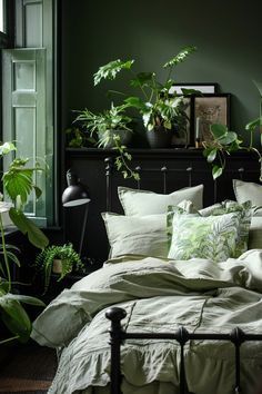 a bedroom with green walls and plants in the corner