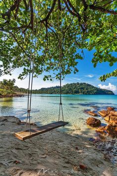 a hammock hanging from a tree on the beach