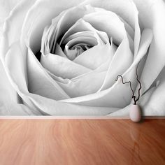 a large white rose is in front of a wall with a vase on the table