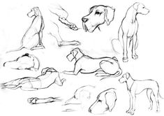 a drawing of dogs laying down and standing