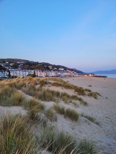 an empty beach with grass and houses in the background on a sunny day at dusk