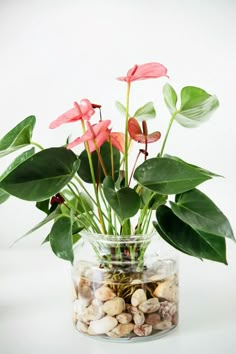 a glass vase filled with lots of flowers on top of a white table next to rocks