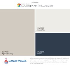 the color scheme for colorsnap visualizer is shown in gray, white and grey