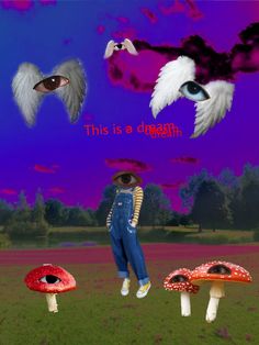 an image of a person standing in the grass with mushrooms and birds flying above them