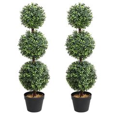 two potted plants are shown in the shape of three ball shaped topiary trees