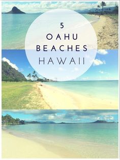 the beach with text overlay that reads 5 oahuu beaches in hawai