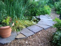 a potted plant sitting on top of a stone walkway next to a lush green garden