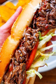 a close up of a person holding a sandwich with meat and veggies on it