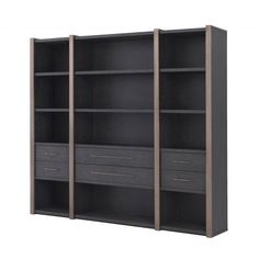 an open bookcase with three drawers on the front and two shelves on the back