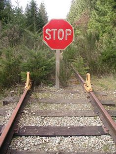 a red stop sign sitting on the side of train tracks next to trees and bushes