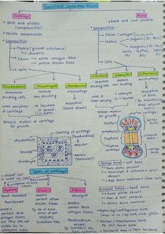 a hand drawn diagram on top of a piece of paper with words and pictures in it