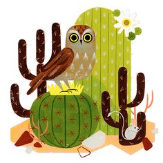 an owl is sitting on top of a cactus