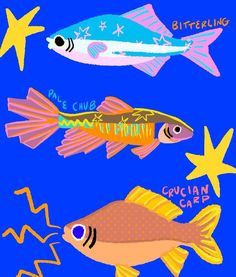 three different types of fish on a blue background with starfish and other sea creatures