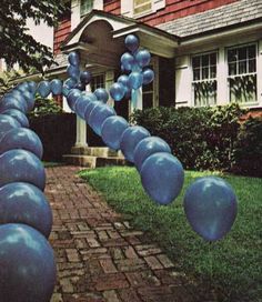 the pinter is showing an image of blue balloons in front of a house