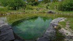 Wasser im Garten vom Profi | Knechtgarten Bio Pool, Water