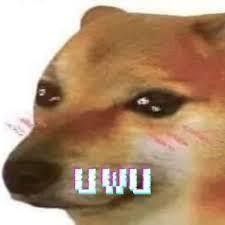 an image of a dog with the word uhu on it's forehead and eyes