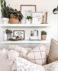 a living room filled with lots of furniture and plants on top of white shelving