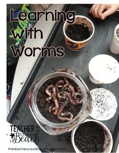 there is a tray with worms and ice creams on it that says learning with worms