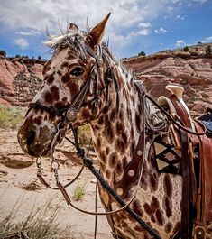 a man riding on the back of a brown and white horse next to a mountain