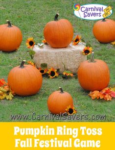 pumpkins and sunflowers are arranged on the grass