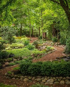 a lush green forest filled with lots of trees and bushes next to a dirt path