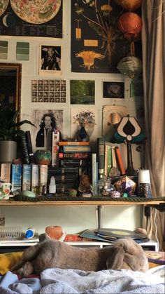 a dog laying on top of a bed next to a shelf filled with books and pictures