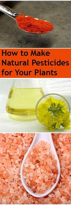 how to make natural pesticides for your plants and flowers with pictures on them