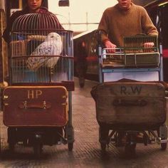 two people walking down the street with luggage and birds in cages on their carts,