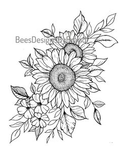 sunflowers with leaves and buds drawn by beesdesings on etsyle