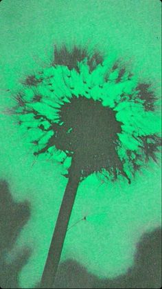 a dandelion in front of a green background with black and white silhouettes