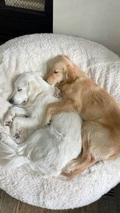 two dogs are curled up in a dog bed