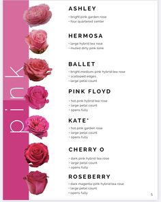 a menu with pink flowers on it and the names of different types of food in each section