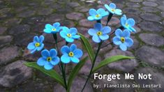 some blue flowers are sitting on the cobblestone ground with words forget me not