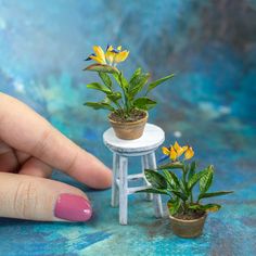 a miniature stool with flowers on it and a hand reaching for the flower potted plant