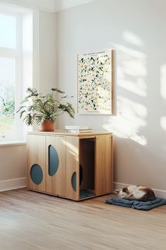 a cat laying on top of a wooden floor next to a plant in a pot