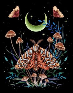 an orange and black moth sitting on top of mushrooms under a crescent moon with stars