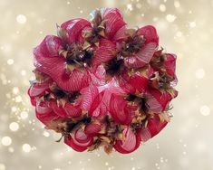 a bouquet of red flowers on a white and beige background with boket lights